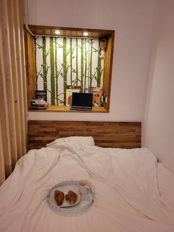 Bubbles Studio Sinaia With Terrace Extérieur photo