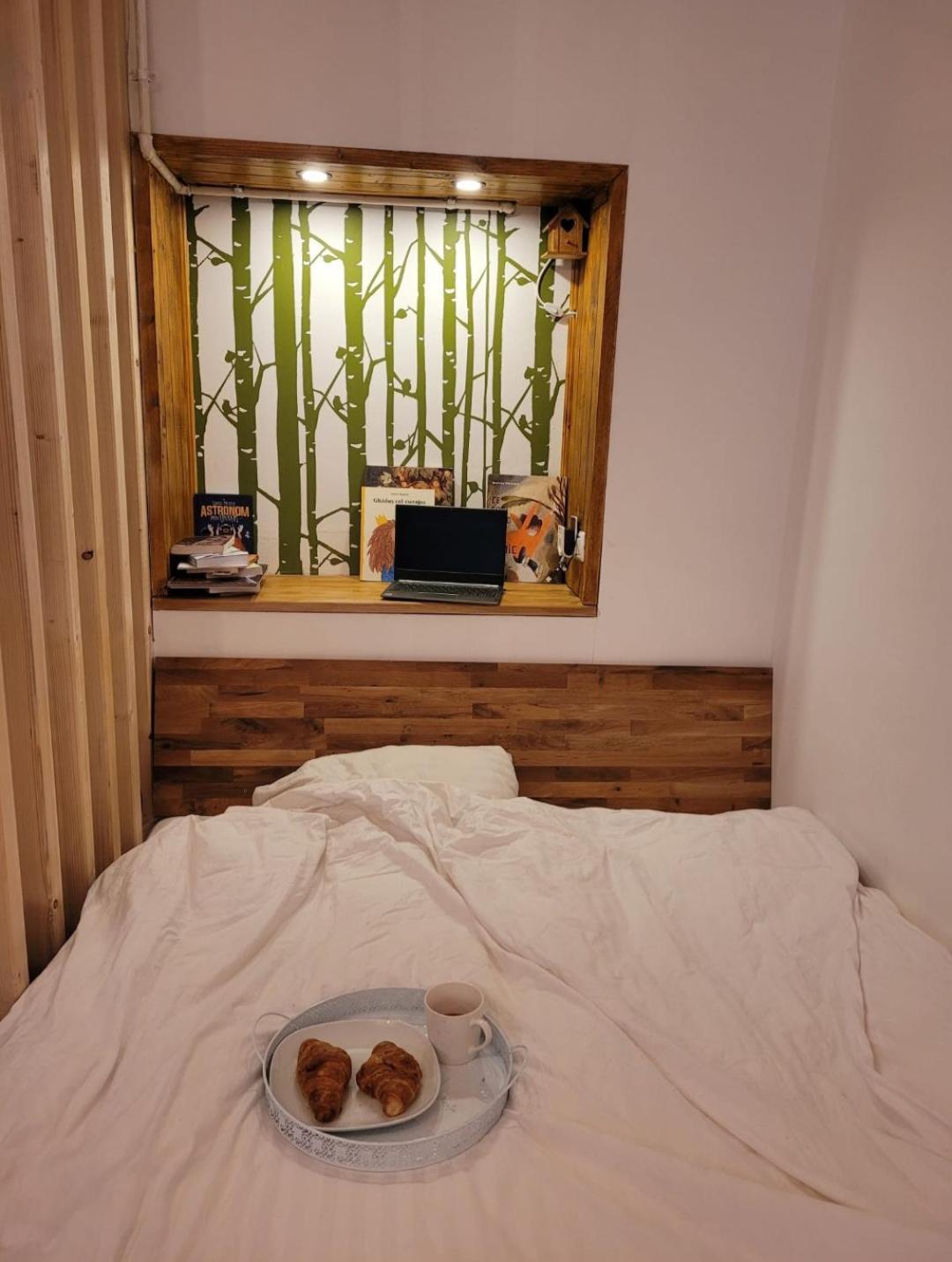 Bubbles Studio Sinaia With Terrace Extérieur photo